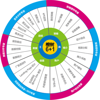 橙树6+1搜索整合营销模型